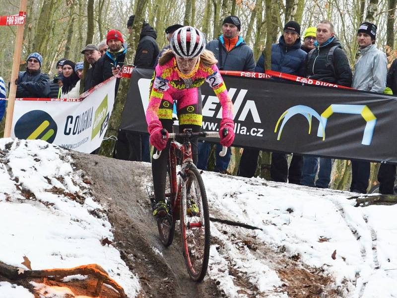 MČR v cyklokrosu 2016 v Kolíně. V růžovém vítězná lounská cyklokrosařka Martina Mikulášková.