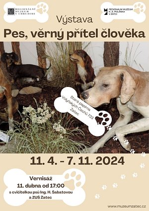 Regionální muzeum K. A. Polánka v Žatci připravilo výstavu Pes, věrný přítel člověka