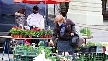 Žatec po několikaměsíční pauze opět hostil farmářské trhy. Trhovci se v pátek 16. dubna do města chmele vrátili po částečném rozvolnění protikoronavirových opatření.
