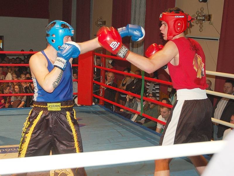 Pohár starostky města v boxu, thai boxu a kickboxu v Žatci