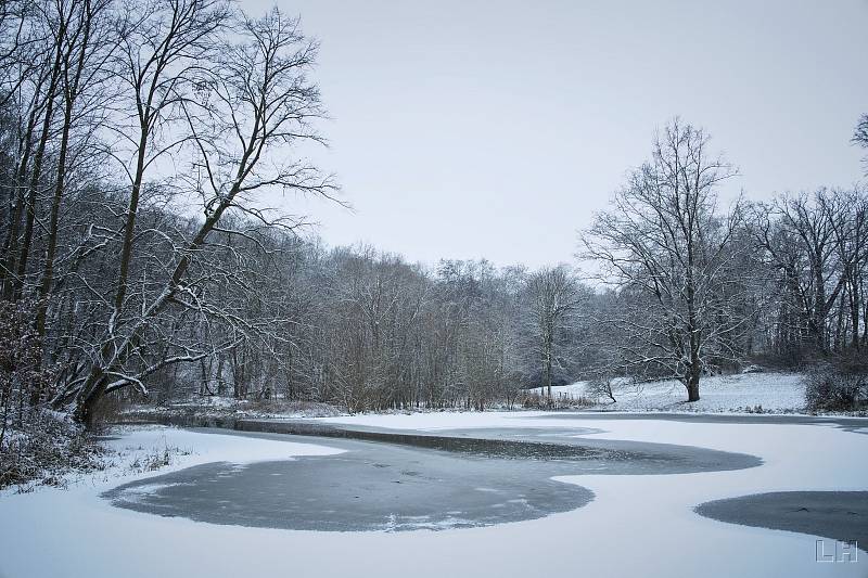 Zasněžený a zamrzlý zámecký park v Krásném Dvoře na Podbořansku.