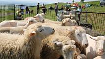 Na Rané si lidé mohli prohlédnout různá plemena ovcí i koz
