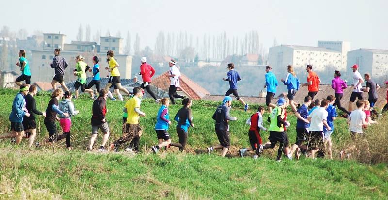 Žatecký půlmaraton 2013