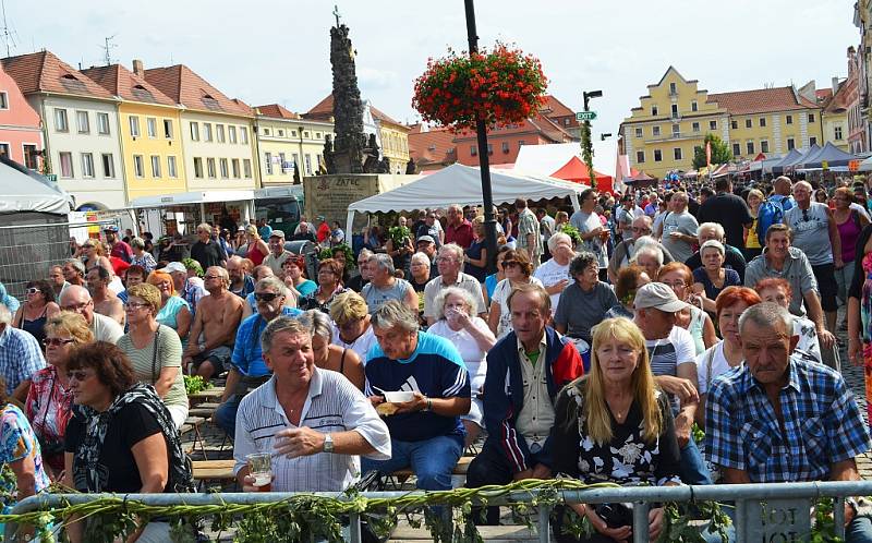 Žatecká Dočesná 2016