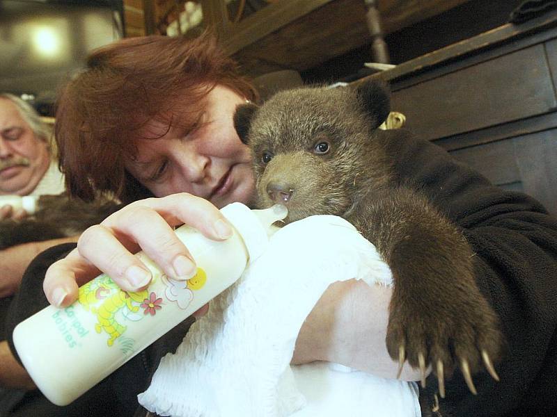 Manželům s krmením medvíďat často pomáhá také sousedka Šárka Němcová