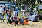 III. Krajská výstava psů na výstavišti v Lounech