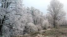 Krajina s poetickou jinovatkou v okolí Ohře na Žatecku.