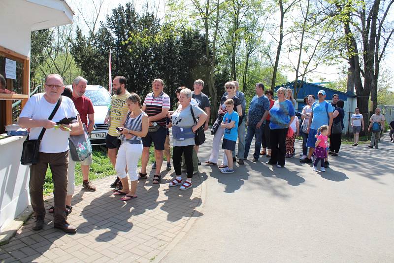 Výstava Dům a zahrada v Lounech