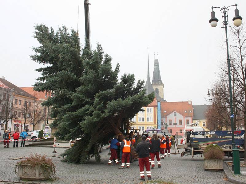 Stavění vánočního stromu v Lounech