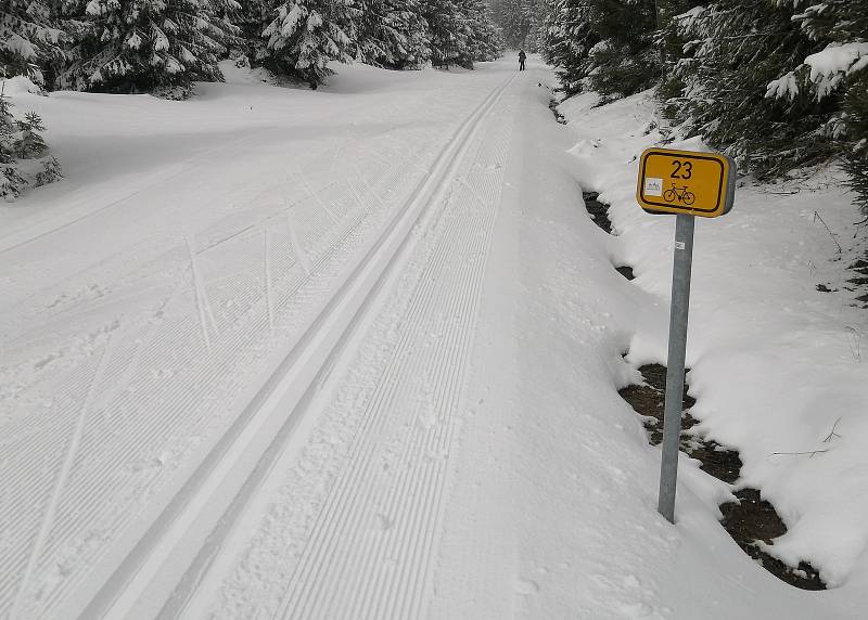 Do Krušných hor se po sněhové nadílce vrátili běžkaři.