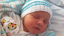 Jindříšek Ibl se narodil 27. 2. 2020 ve 13:40 hodin v Chomutovské nemocnici mamince Daně Iblové a Jindřichovi Iblovi. Po porodu vážil 3160 g a měřil 47 cm.