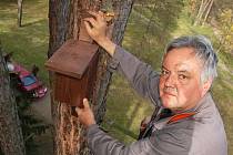 Drahoslav Mašek z technických služeb připevňuje na strom v žateckém parku pod nemocnicí ptačí budku.