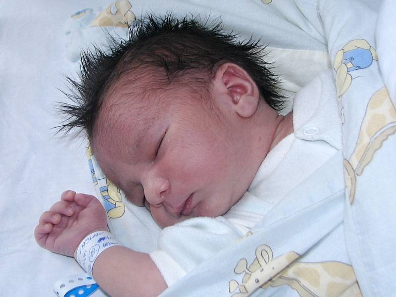 Mamince Monice Tologové ze Žatce se 11. září 2015 v 11.40 hodin narodil synek Václav Tolog. Vážil 3235 gramů a měřil 48 centimetrů.