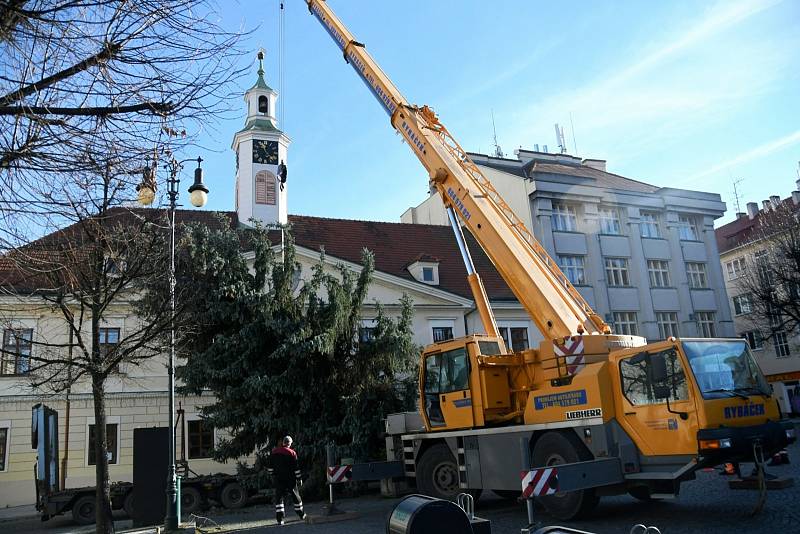 Na náměstí do Loun přivezli v úterý vánoční strom.