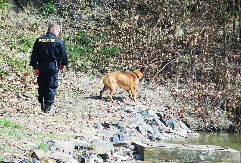 Jana Paurová se hledá už deset let. Během let proběhla řada pátracích akcí, policisté hledali ve Slavětíně a okolí také případné stopy