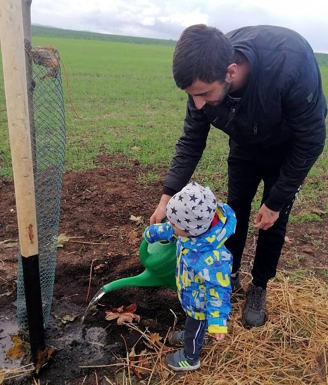 Sázení stromu v Podbořanech.