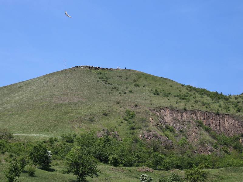 Stádo ovcí a koz na vrcholku Rané