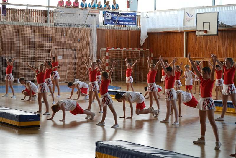 Župní slet sokolů v lounské sportovní hale