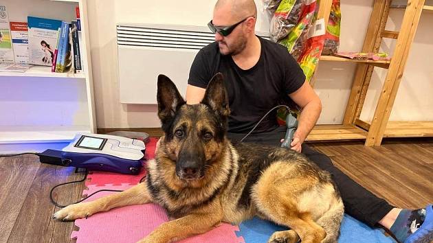 Tomáš Mandát při psí fyzioterapii