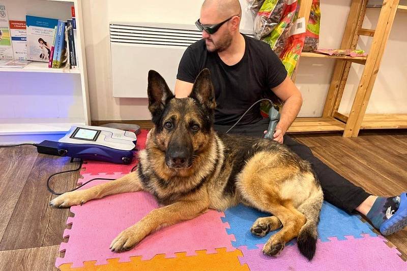 Tomáš Mandát při psí fyzioterapii