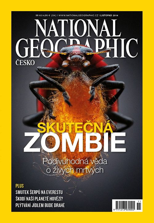 Darujte předplatné časopisu National Geographic | Kafe.cz