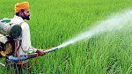 Colu můžete též využít coby pesticid nebo-li přípravek na hubení hmyzu. 