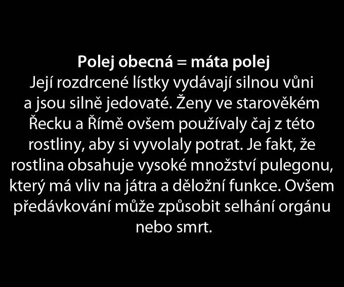 Co používaly ženy proti početí?