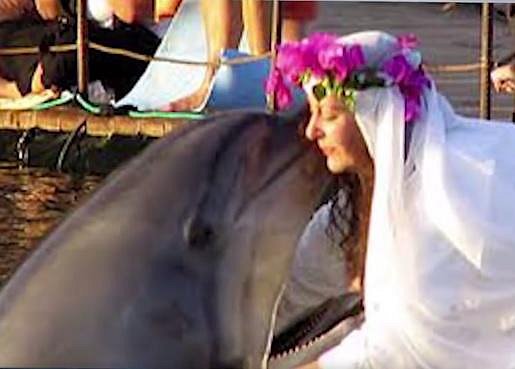 Sharon svého delfína prý opravdu miluje!