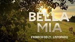 KINOTIP: Bella Mia - Balada o kravách a lidech