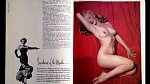 8. Za hambaté fotografie dostala v roce 1949 jen padesát dolarů. Hugh Hefner za ně poté zaplatil 500 dolarů, aby je mohl použít do speciálního inaguračního vydání časopisu Playboy a vydělal na nich majlant.
