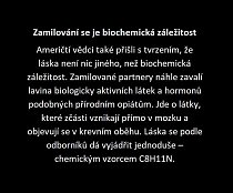 Vzorec na lásku: Vypočítejte si, kdy je ideální se osudově zamilovat