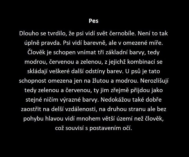 Jak vidí svět zvířata: Mnohdy úplně jinak, než si myslíme