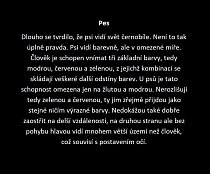 Jak vidí svět zvířata: Mnohdy úplně jinak, než si myslíme