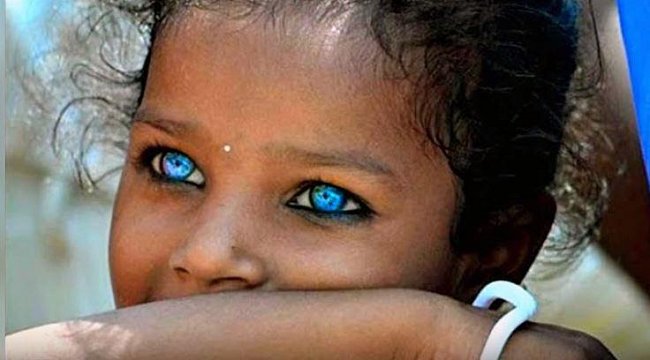 Světlé oči u afro-americké rasy nejsou výsledkem křížení s Indoevropany, je to stará genetická anomálie