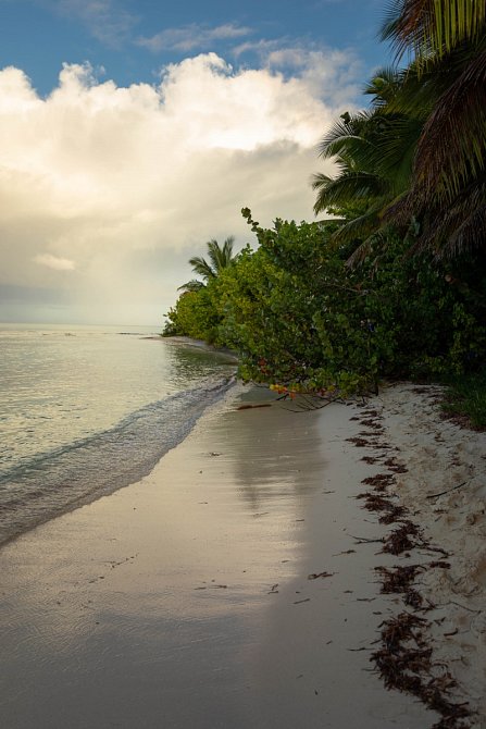 Krásná slunečná pláž sice působí romanticky, podmínky pro ostrovany ale rozhodně nebudou příznivé