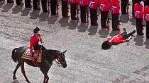 Tento člen britské královské gardy nevydržel vypětí spojené s přehlídkou pořádanou pro samotnou královnu Alžbětu II. a velmi horké počasí. Omdlel přímo v okamžiku, kdy jej míjela Alžběta na koni.