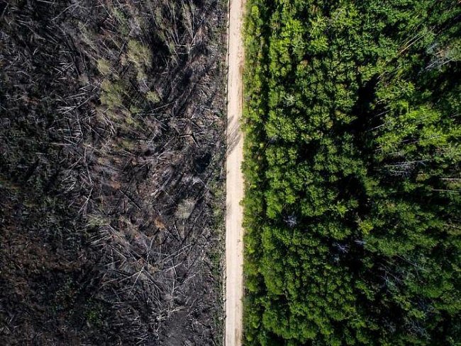 Neuvěříte, že jsou tyto fotografie reálné a bez jediné úpravy!