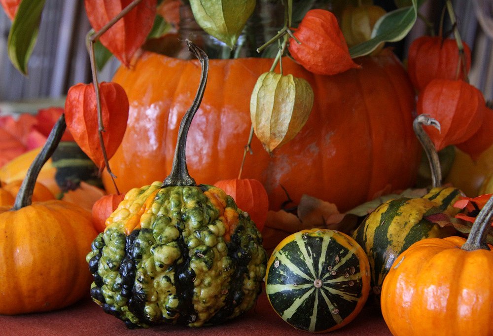 Podzimní dekorace stolu - z dýní snadno vytvoříte misku, vázu i svícen |  iReceptář.cz