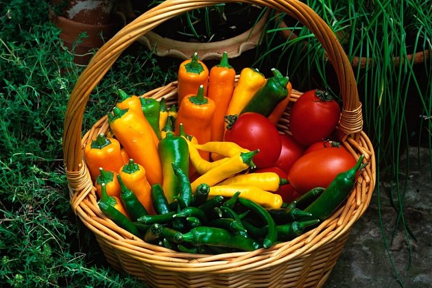 Rajčata a papriky se výborně doplňují nejen pro oko, ale i na talíři. A co teprve s bylinkami!