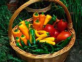 Rajčata a papriky se výborně doplňují nejen pro oko, ale i na talíři. A co teprve s bylinkami!