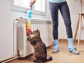 Čistit radiátory byste měli před každou topnou sezonou.