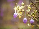 Atraktivní velikonoční dekoraci vytvoříte v zahradě z vrby.