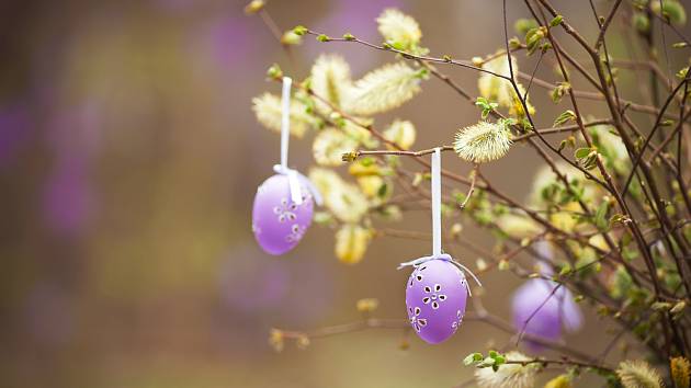 Atraktivní velikonoční dekoraci vytvoříte v zahradě z vrby.