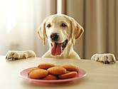 Sušenky, které budou vaši psi milovat.