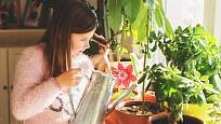 Větší děti již mohou samy pečovat o celou řadu rostlin, včetně kaktusů.