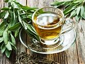 Šalvěj je léčivá bylina, z které si můžete udělat skvělý čaj.