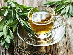 Šalvěj je léčivá bylina, ze které si můžete udělat skvělý čaj.