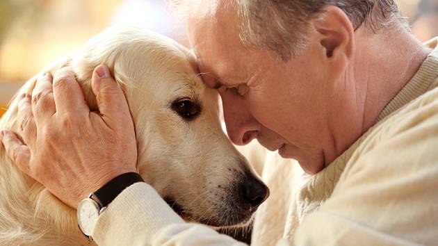 Láska mezi lidmi a psy kvete v každém věku.