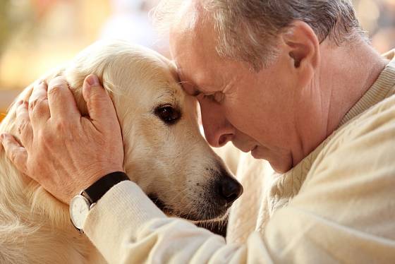 Láska mezi lidmi a psy kvete v každém věku.