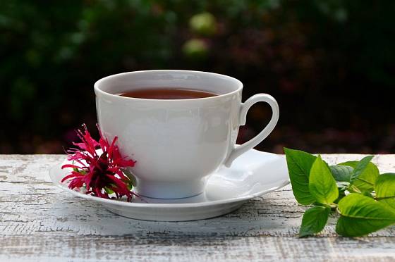 Čaj z listů monardy voní po bergamotu a má lahodnou chuť
